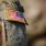Reffett Associates Recruiting Deal With Department of Veterans Affairs