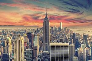 McDermott & Bull Stu Leibach New York City