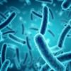 Coulter Partners Sally Ann Forsyth CEO Stevenage Bioscience Catalyst