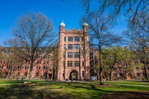Witt/Kieffer Victoria M. Chun AD Yale University