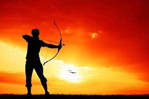 SearchWide Assists USA Archery CEO Hunt