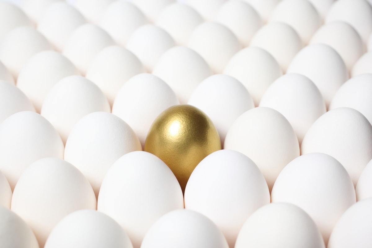Image showcasing 3 Ways to Nurture Talent for Future Leadership in Non-Profit and Social ...