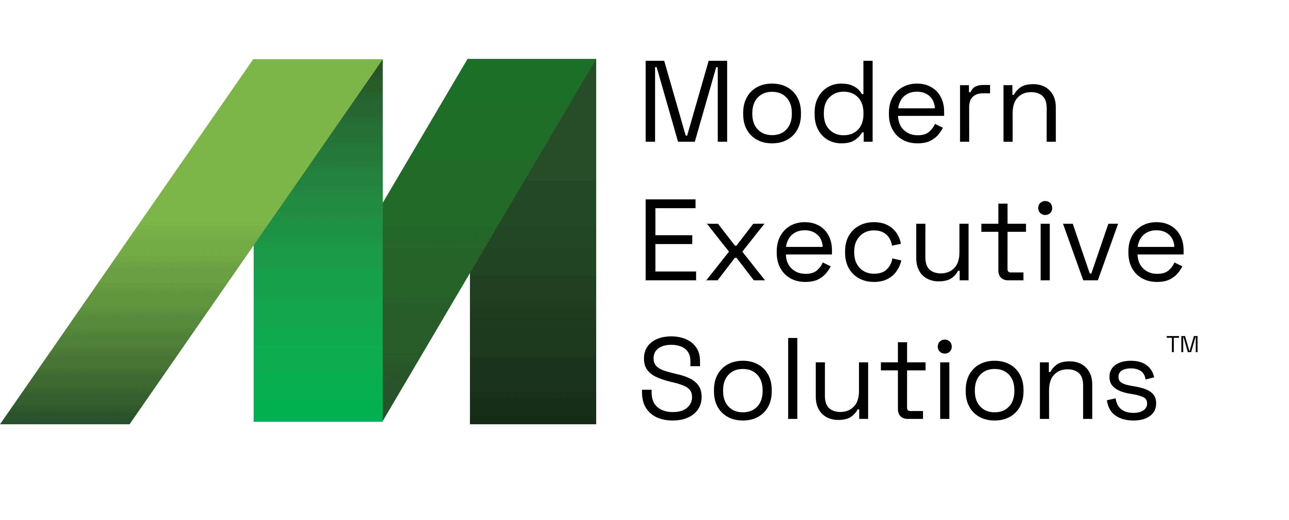 Modern Executive Solutions